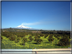 foto Pendici dell'Etna